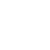 Visumskontrolle_Icon_w